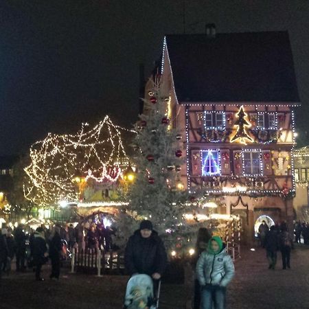 Maison De Vacances Avec Piscine, Proche Strasbourg Et Europa Park 桑镇 外观 照片