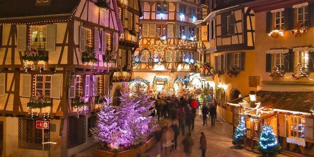 Maison De Vacances Avec Piscine, Proche Strasbourg Et Europa Park 桑镇 外观 照片