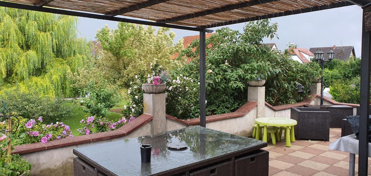 Maison De Vacances Avec Piscine, Proche Strasbourg Et Europa Park 桑镇 外观 照片