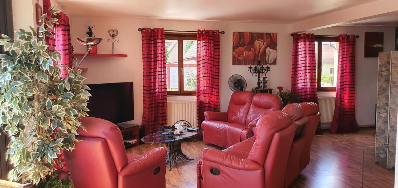 Maison De Vacances Avec Piscine, Proche Strasbourg Et Europa Park 桑镇 外观 照片