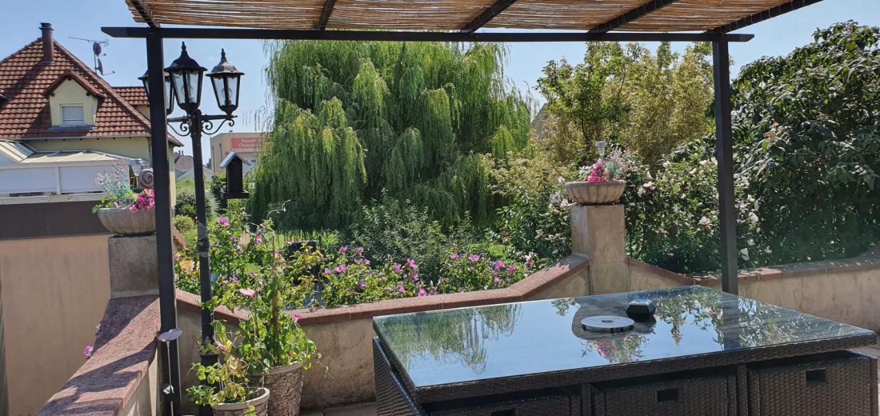 Maison De Vacances Avec Piscine, Proche Strasbourg Et Europa Park 桑镇 外观 照片