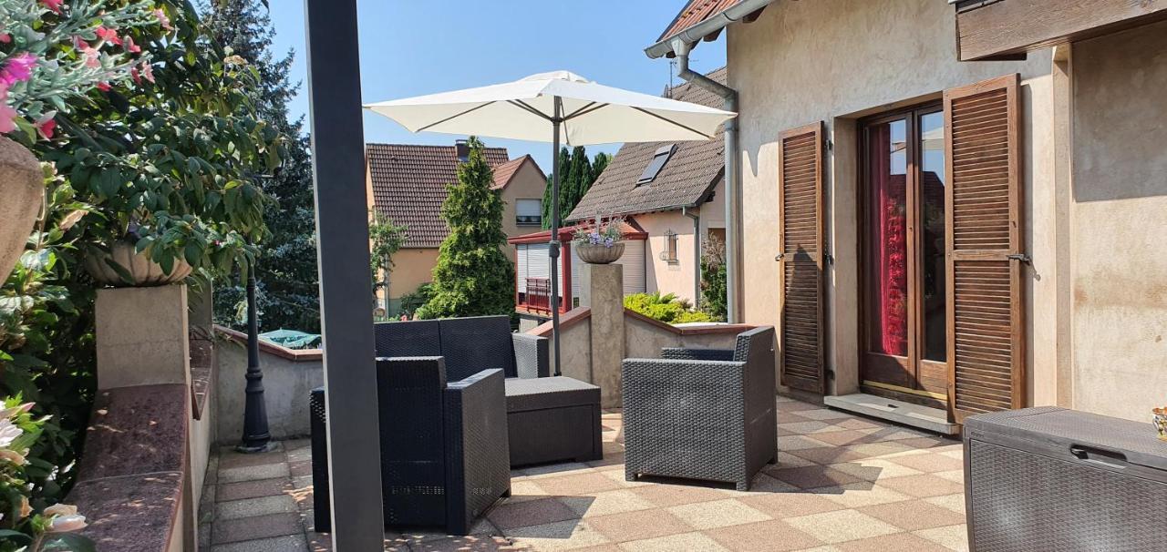 Maison De Vacances Avec Piscine, Proche Strasbourg Et Europa Park 桑镇 外观 照片