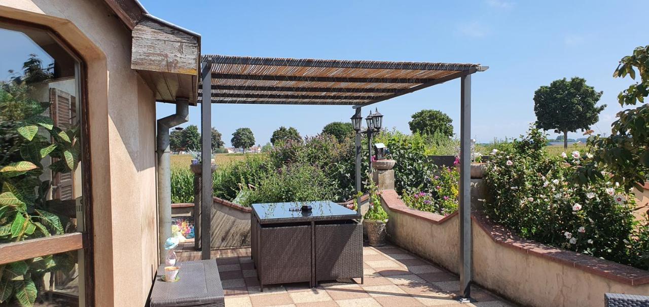 Maison De Vacances Avec Piscine, Proche Strasbourg Et Europa Park 桑镇 外观 照片