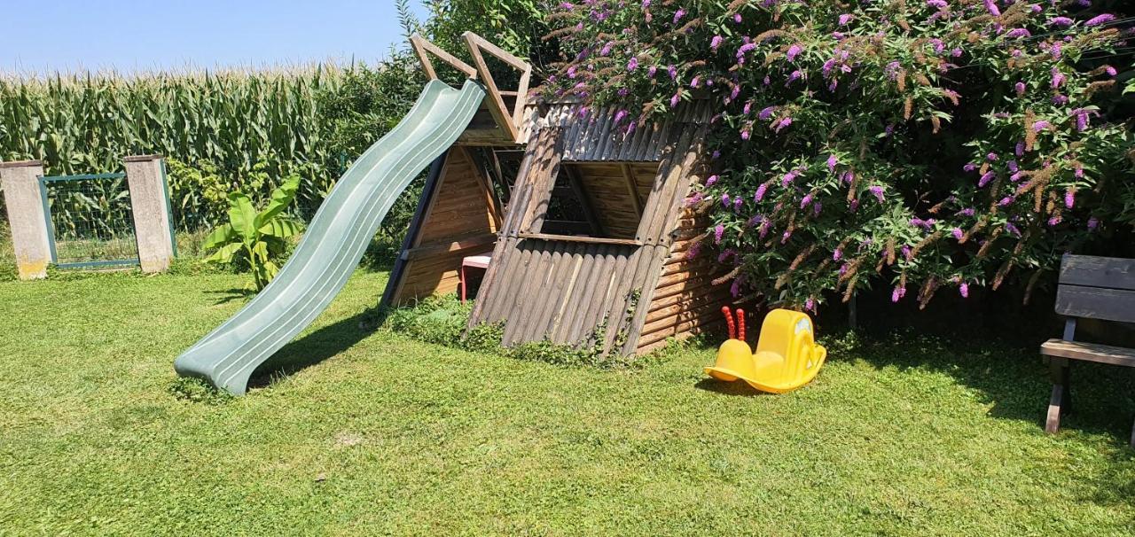 Maison De Vacances Avec Piscine, Proche Strasbourg Et Europa Park 桑镇 外观 照片
