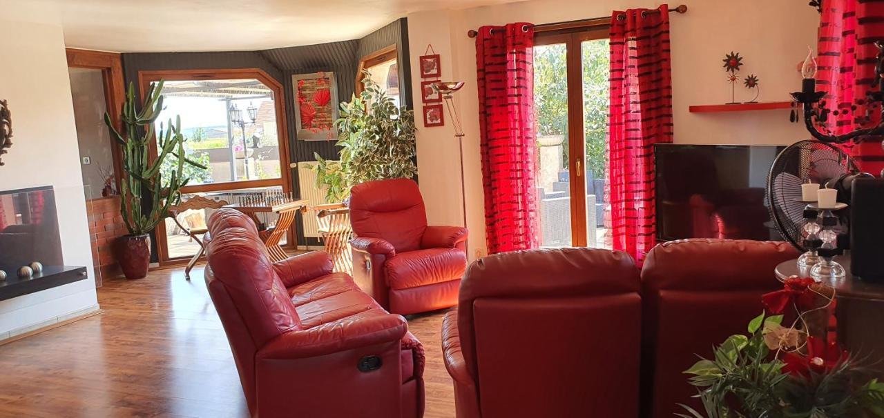 Maison De Vacances Avec Piscine, Proche Strasbourg Et Europa Park 桑镇 外观 照片