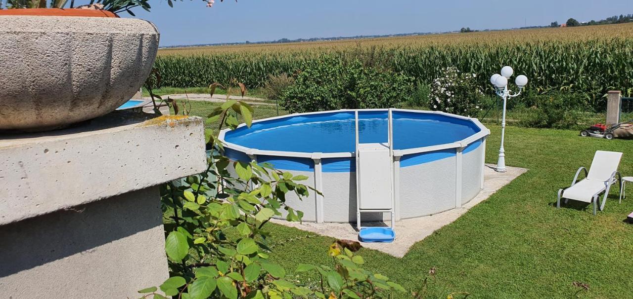 Maison De Vacances Avec Piscine, Proche Strasbourg Et Europa Park 桑镇 外观 照片